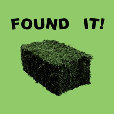 Where Did All The Hay Go? (Remixed)